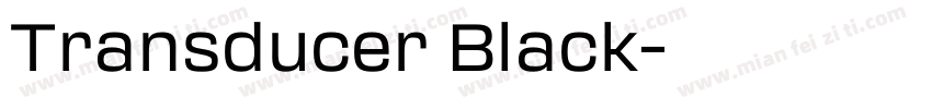 Transducer Black字体转换
